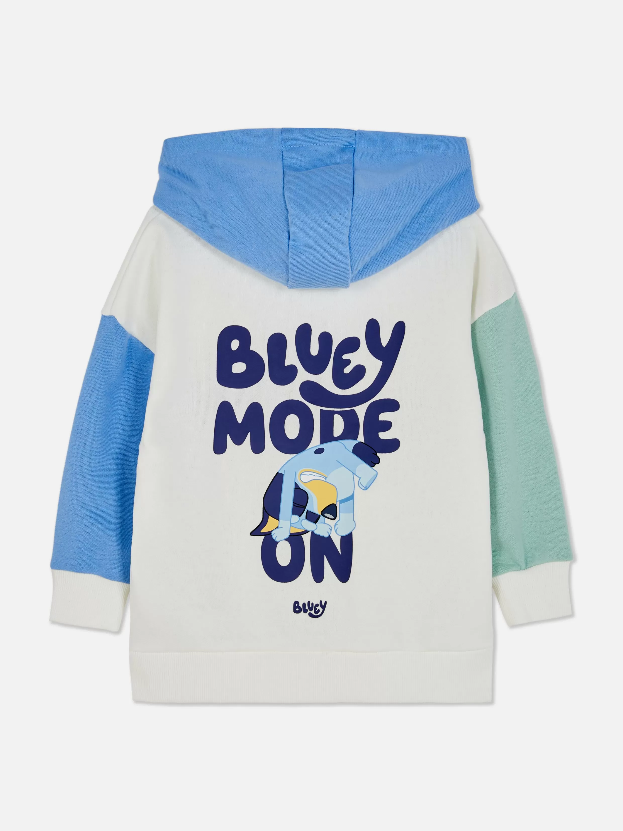 Primark Hoodies En Sweatshirts^Color Block Hoodie Bluey