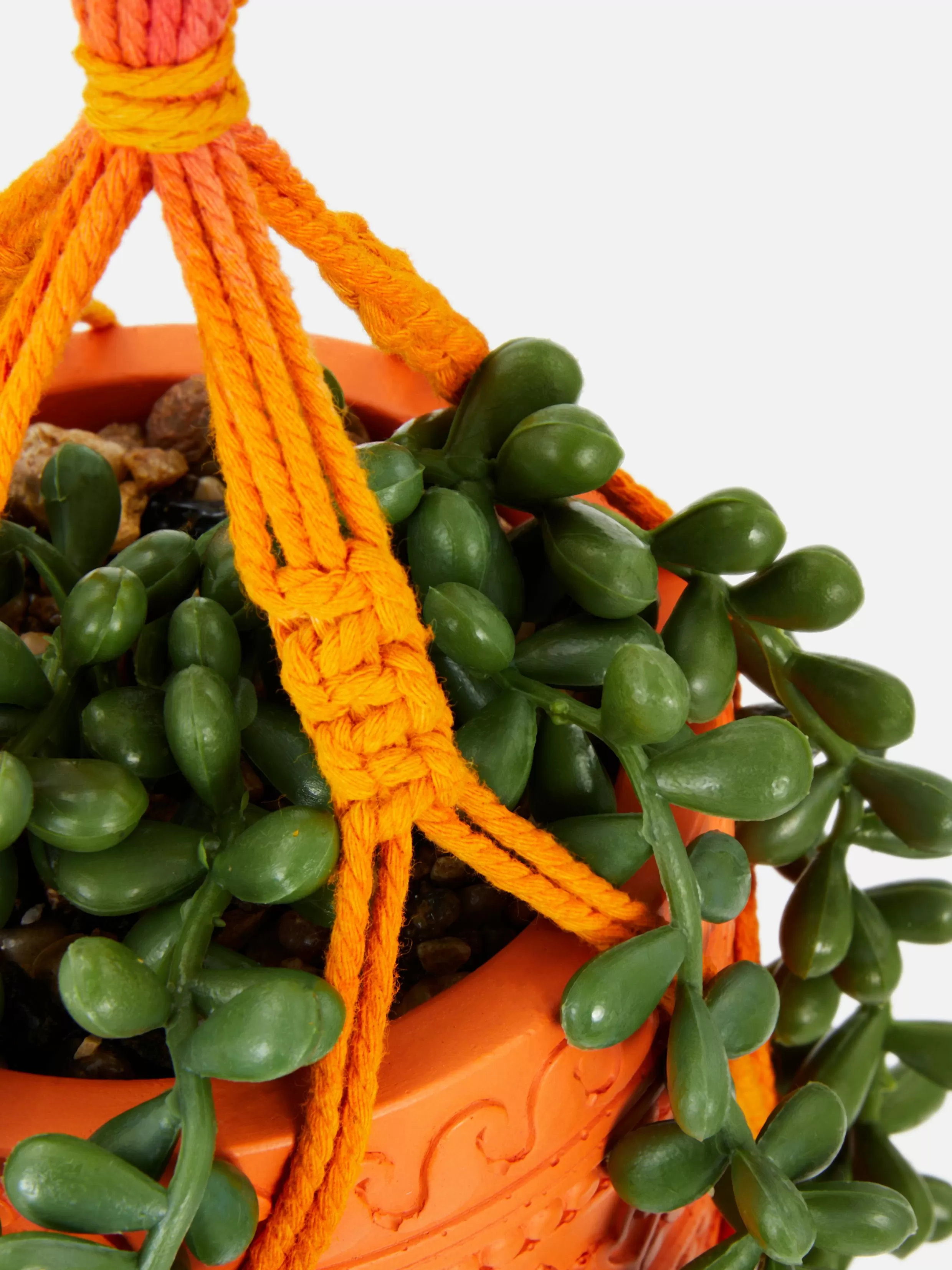 Primark Kunstplanten En -Bloemen^Imitatievetplant In Hangende Pot Met Macramé