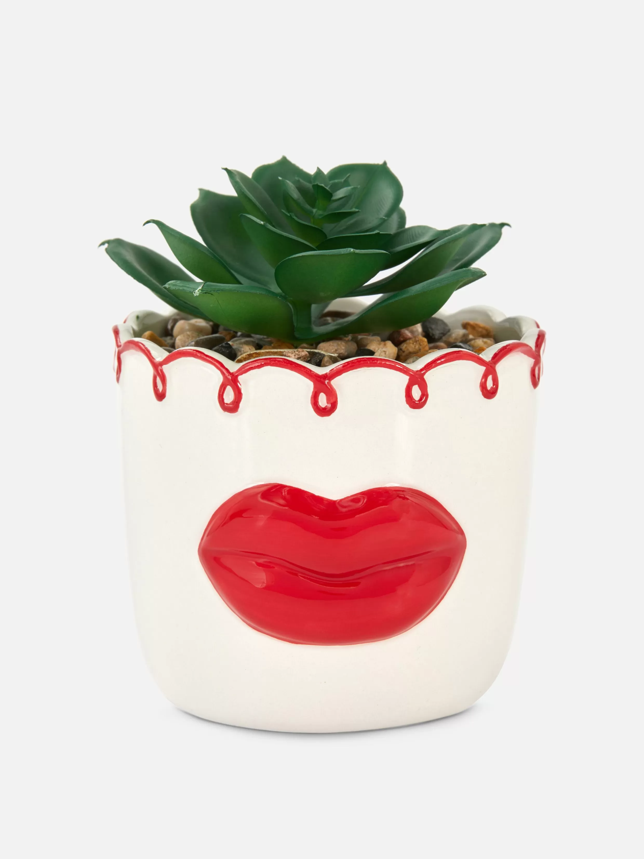 Primark Kunstplanten En -Bloemen^Imitatievetplant In Pot Met Lippen