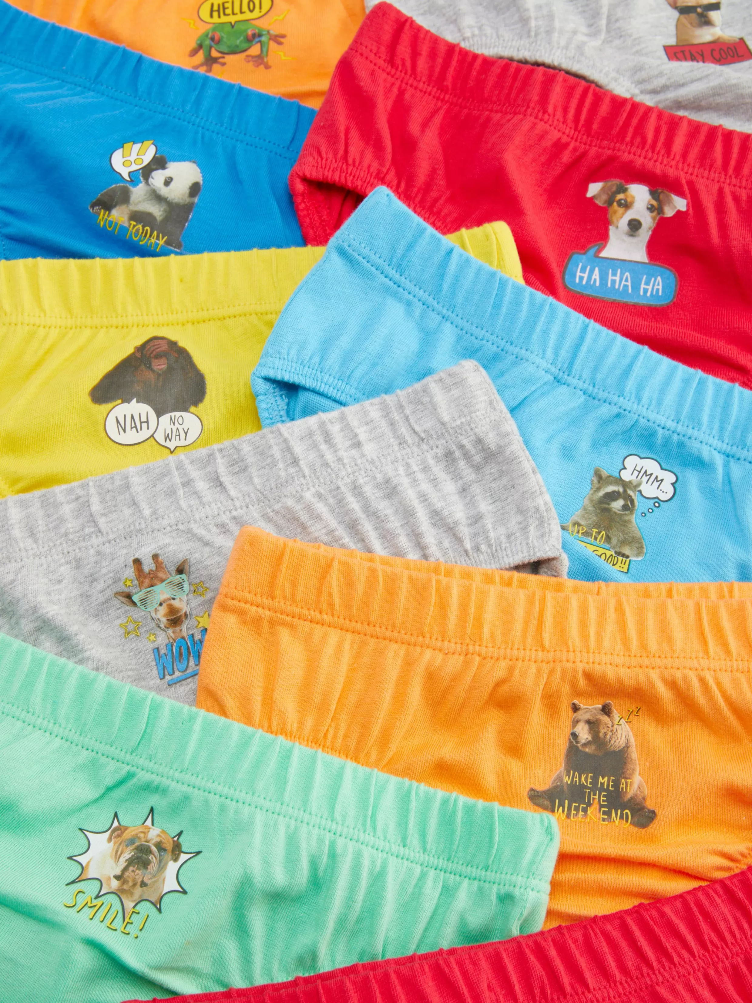 Primark Ondergoed^Slips Met Dierenprint, Set Van 10